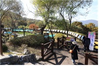 농촌 특별사진전 사진