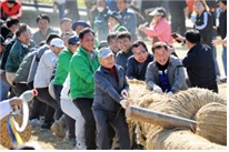 용줄다리기 사진