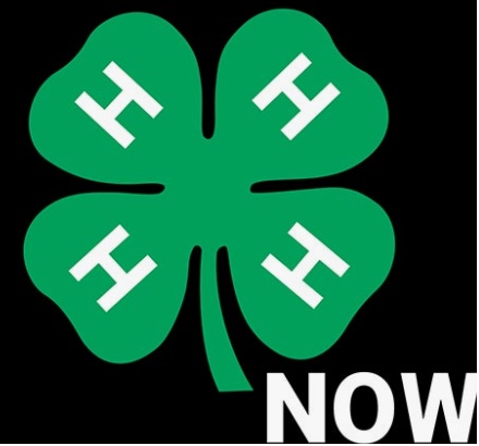 이천시 4-H 연합회 사진