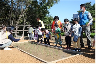손모내기 및 탈곡 체험 사진